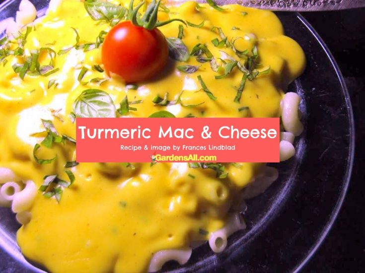 Turmeric Macaroni and Cheese Recipe