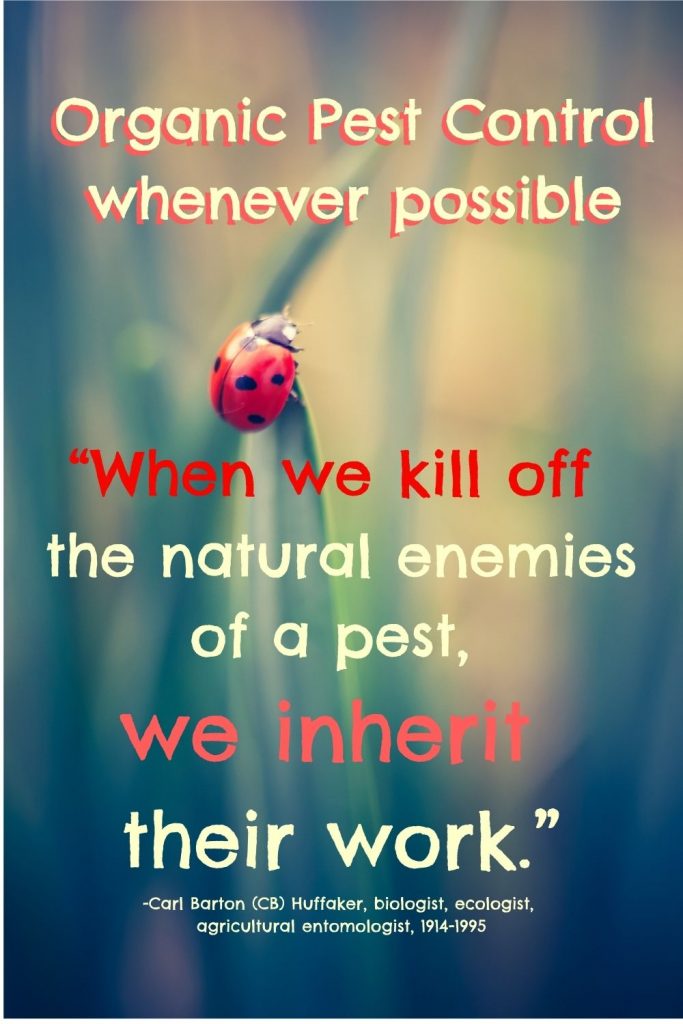 organic pest control organic pest control in the garden organic pest control for the garden. QUOTE: “When we kill off the natural enemies of a pest, we inherit their work.” -Carl Barton (CB) Huffaker, biologist, ecologist, agricultural entomologist, 1914-1995