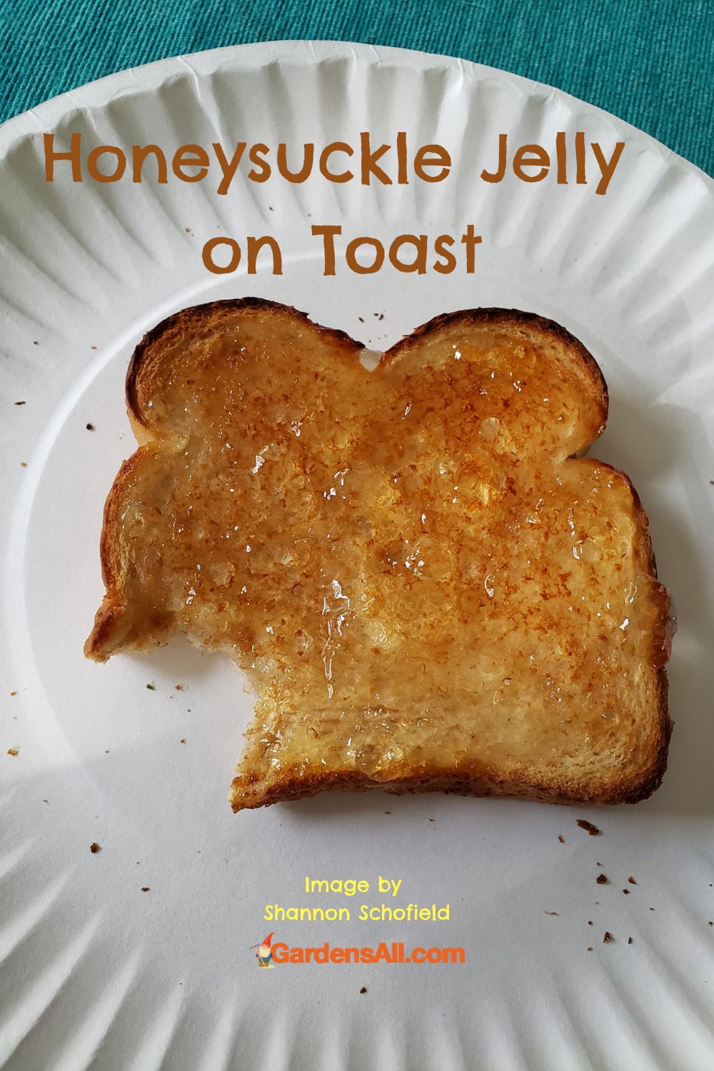 Make Honeysuckle Jelly With Spring Blossoms GardensAll