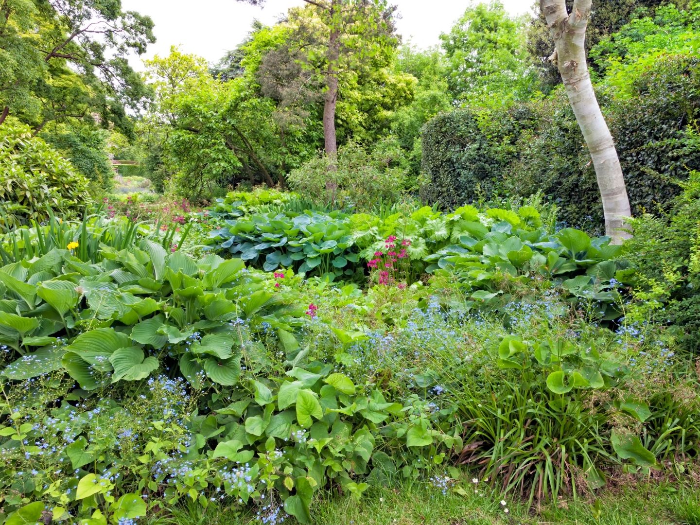 Garden Of Eden Planting Method Fasci Garden