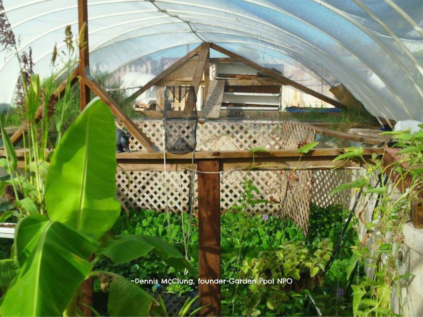Turn That Old Swimming Pool into a Backyard Garden GardensAll