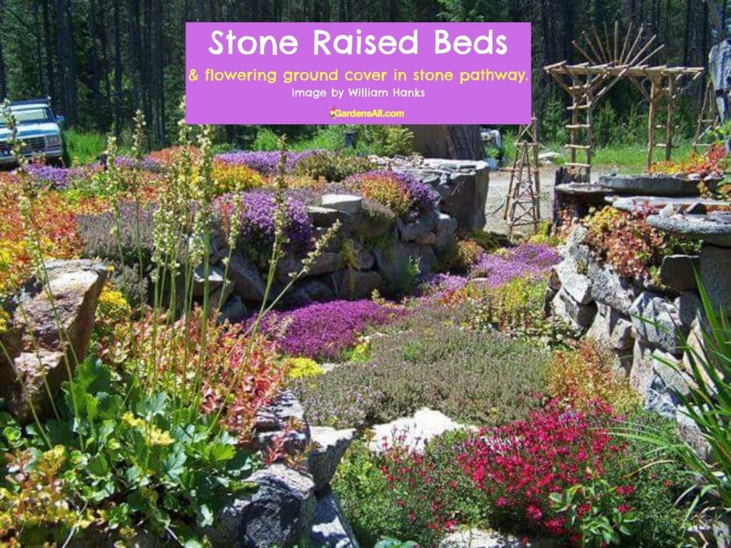 Stone beds-Flowering-Ground cover