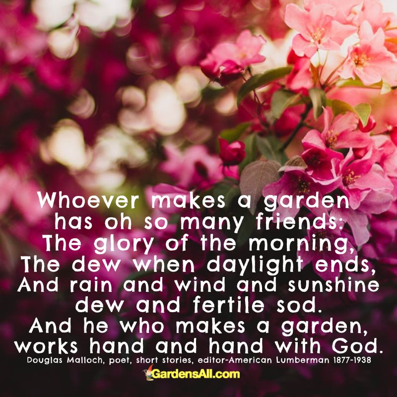 whoever makes a garden poem