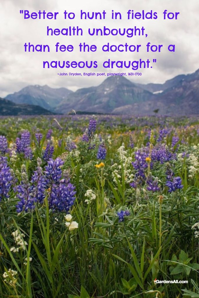 Better to hunt in fields for health unbought than fee the doctor for a nauseous draught