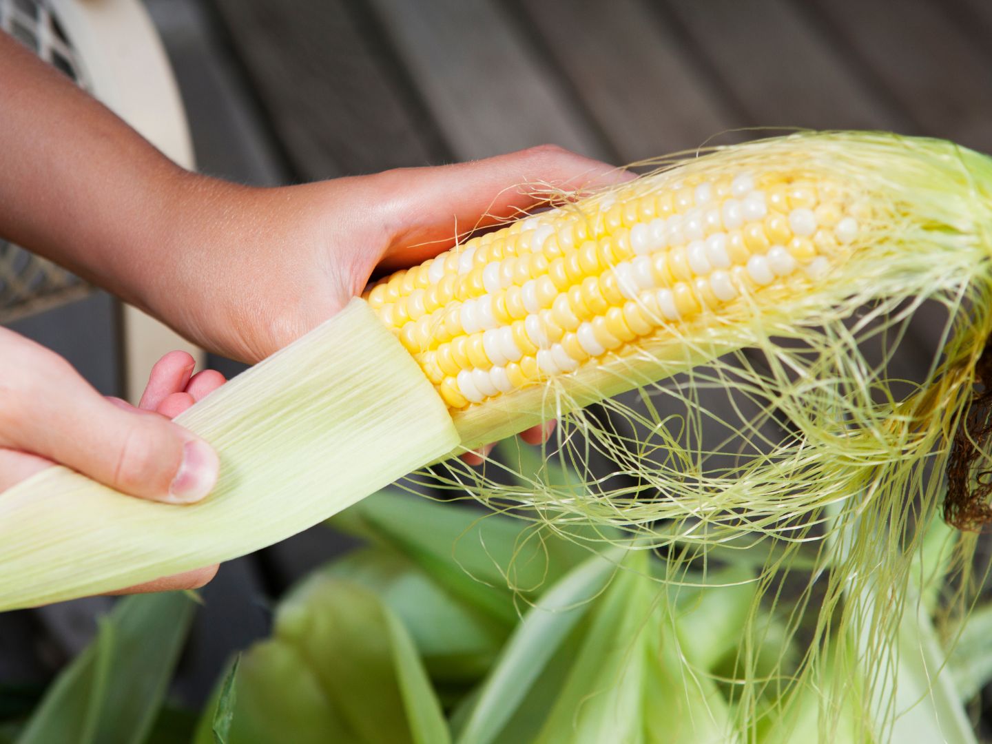 How to Freeze Fresh Corn on the Cob There's More Than One Way GardensAll