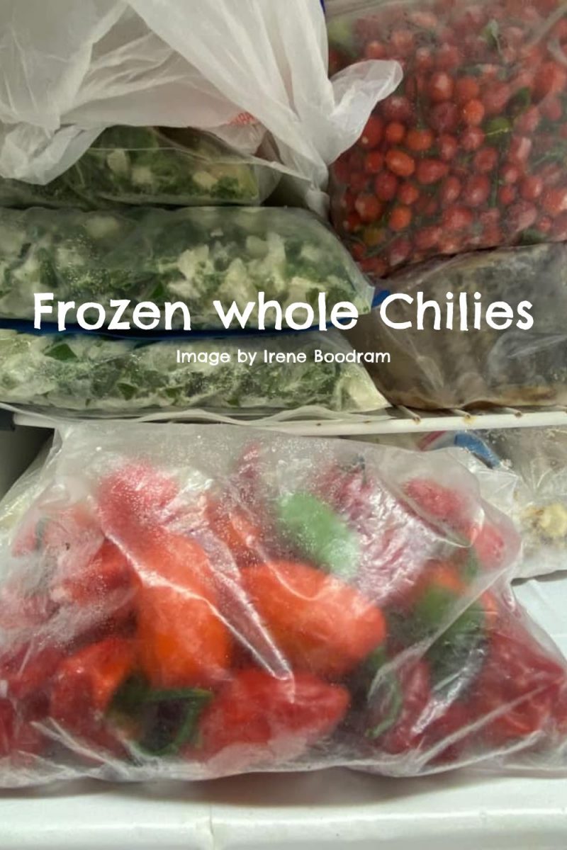 Can You Freeze Chilies? How to Freeze Chillies for Best Results