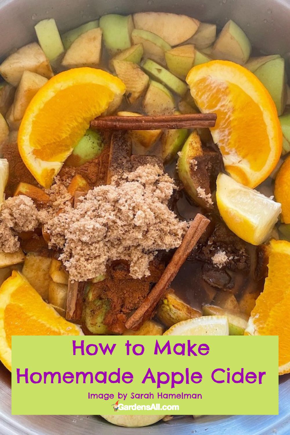 How To Make Homemade Apple Cider GardensAll