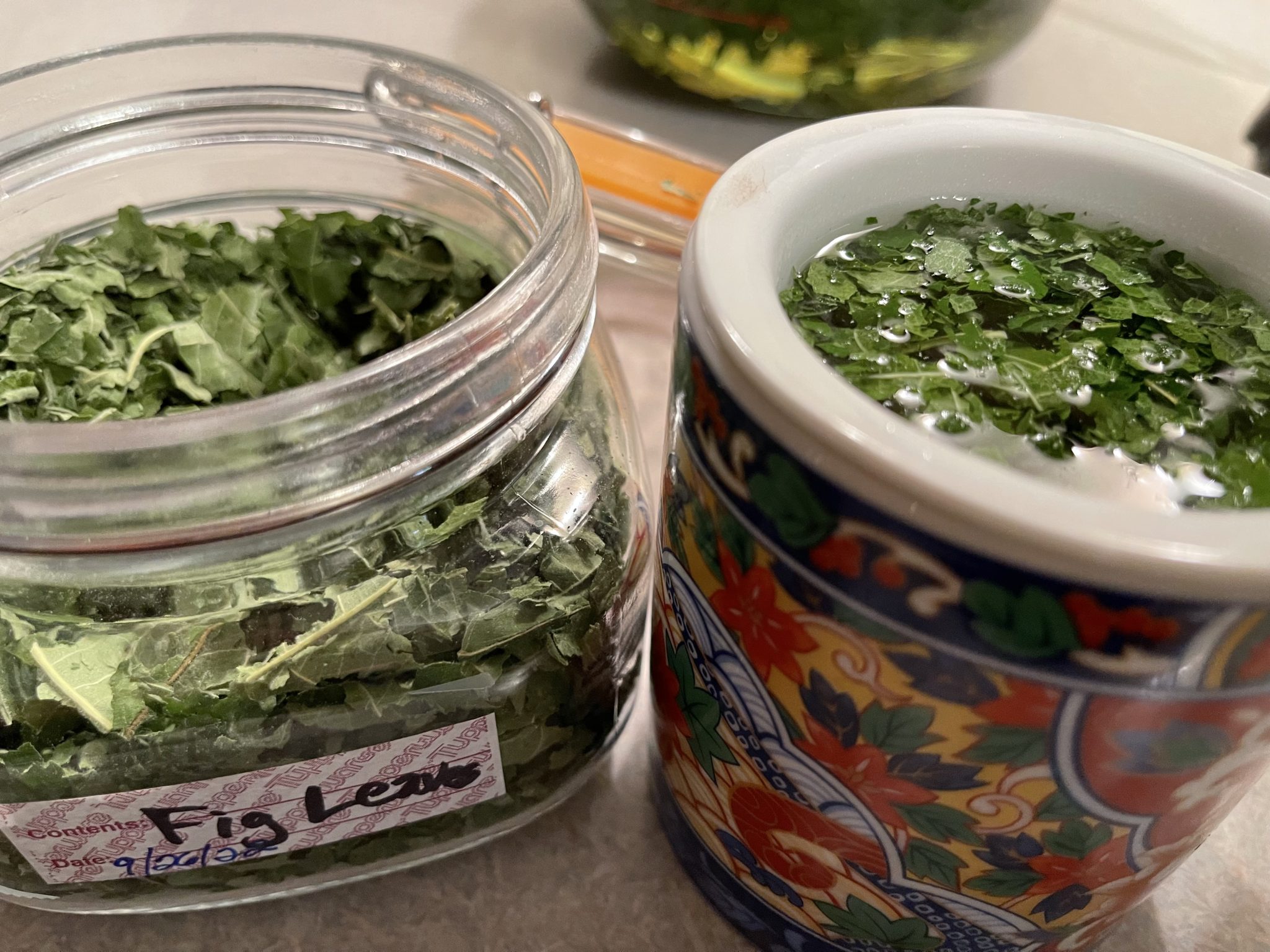 Fig Leaves Tea Health Benefits That May Surprise You! GardensAll