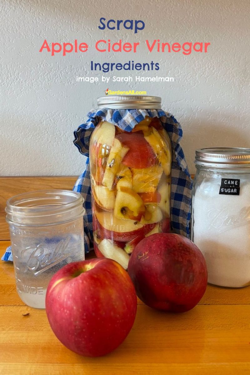 How to Make Homemade Apple Cider Vinegar GardensAll