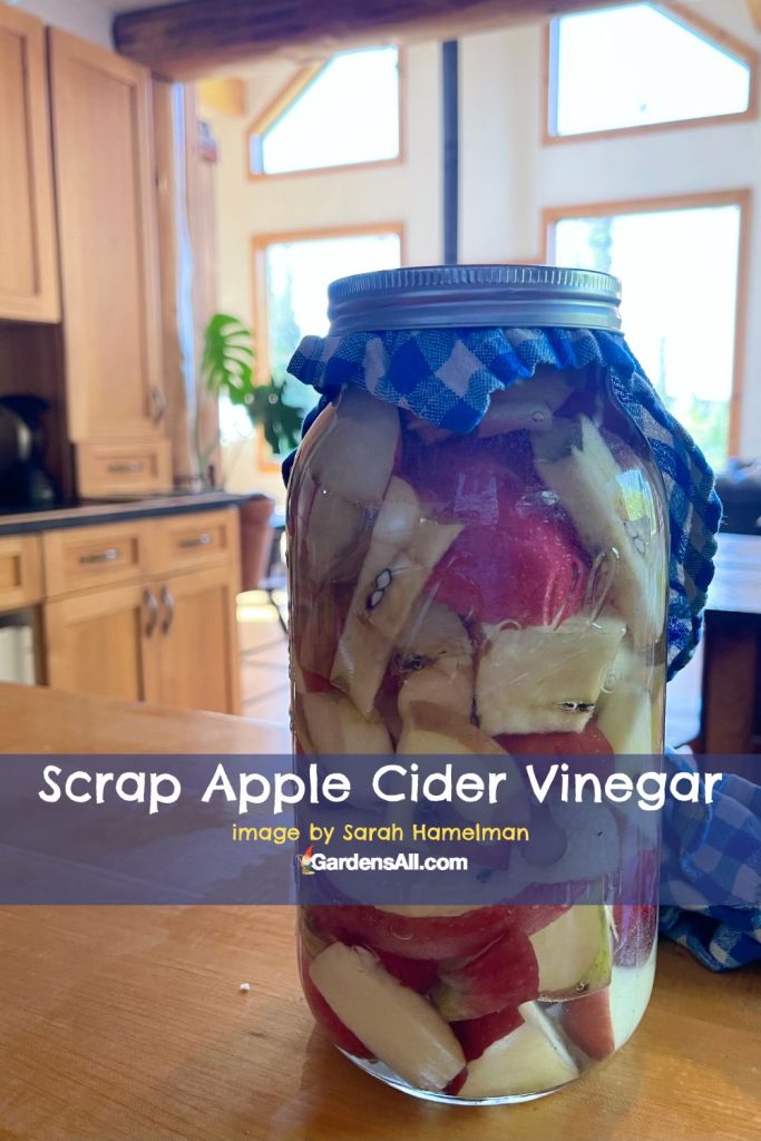 Scrap apple homemade apple cider vinegar