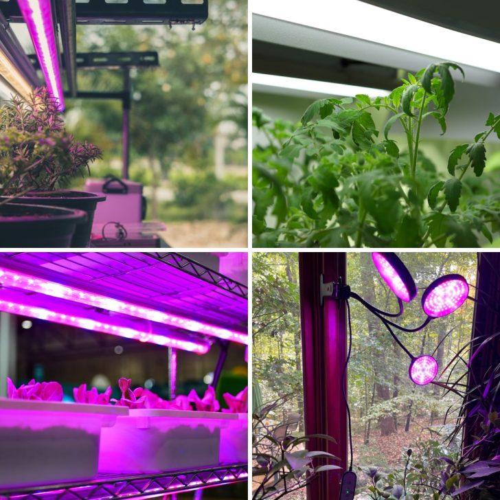 Best LED Grow Lights and Other Favorites