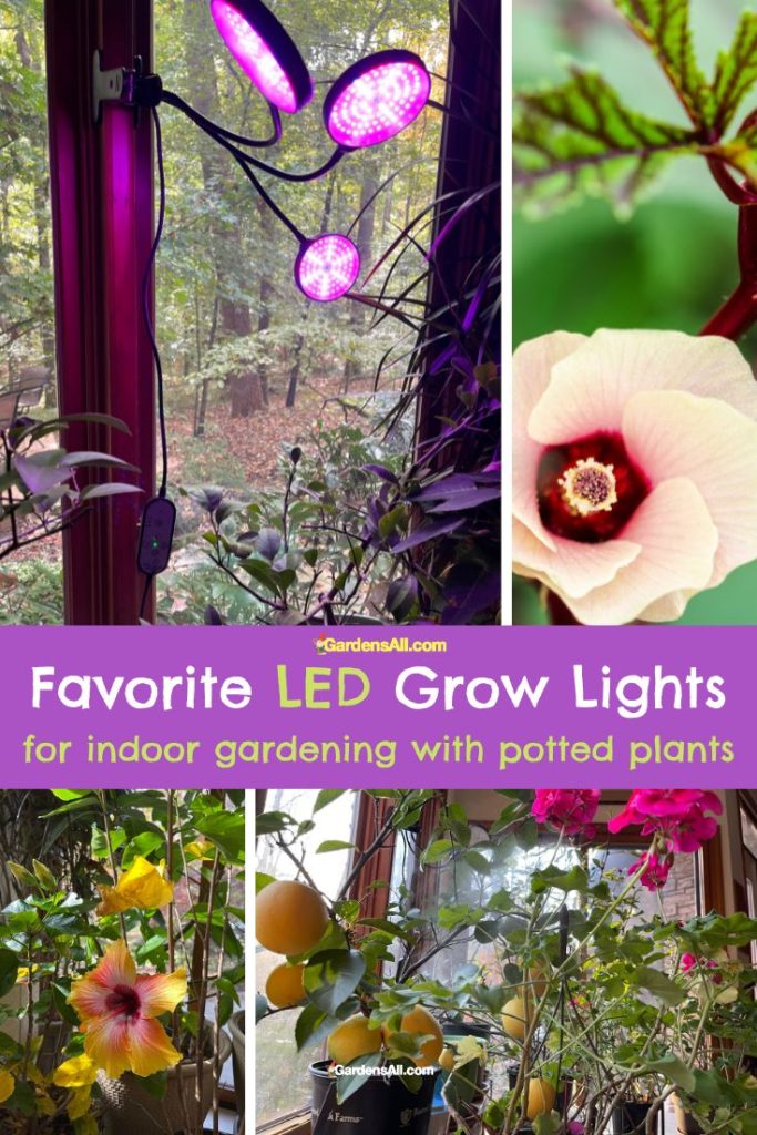Favorite LED grow lights for Potted Plants