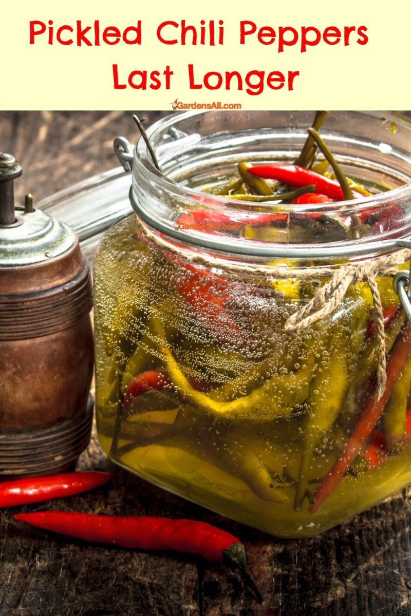 Canning Green Chiles and Other Chili Peppers GardensAll