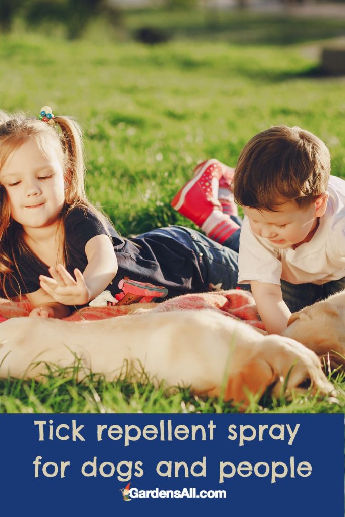 How to Make Homemade Tick Repellent For Dogs and Humans GardensAll
