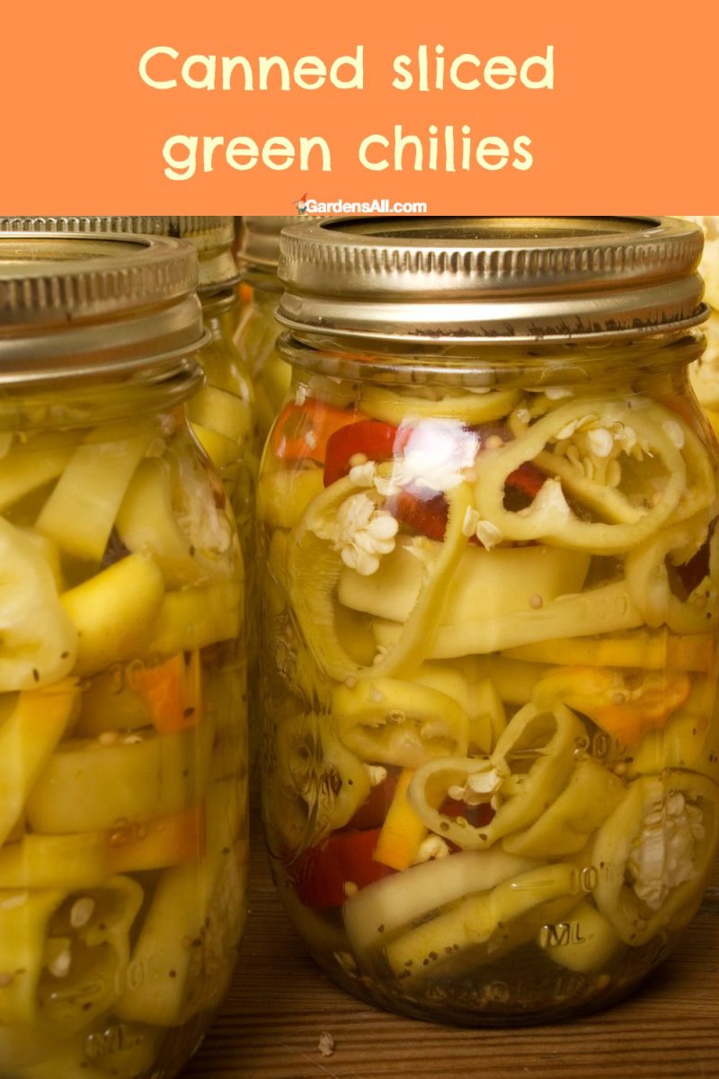 Canning Green Chiles and Other Chili Peppers GardensAll