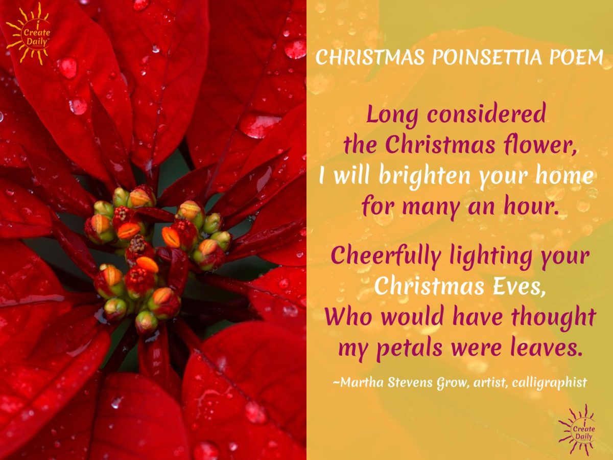 Poinsettia Care How to Keep Poinsettias Alive GardensAll