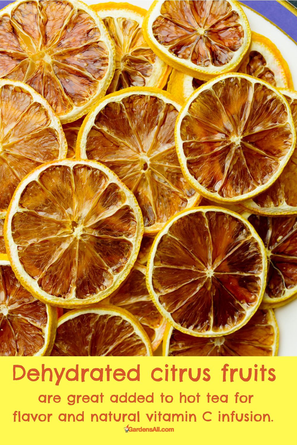 What Are the Best Foods to Dehydrate and Why? GardensAll