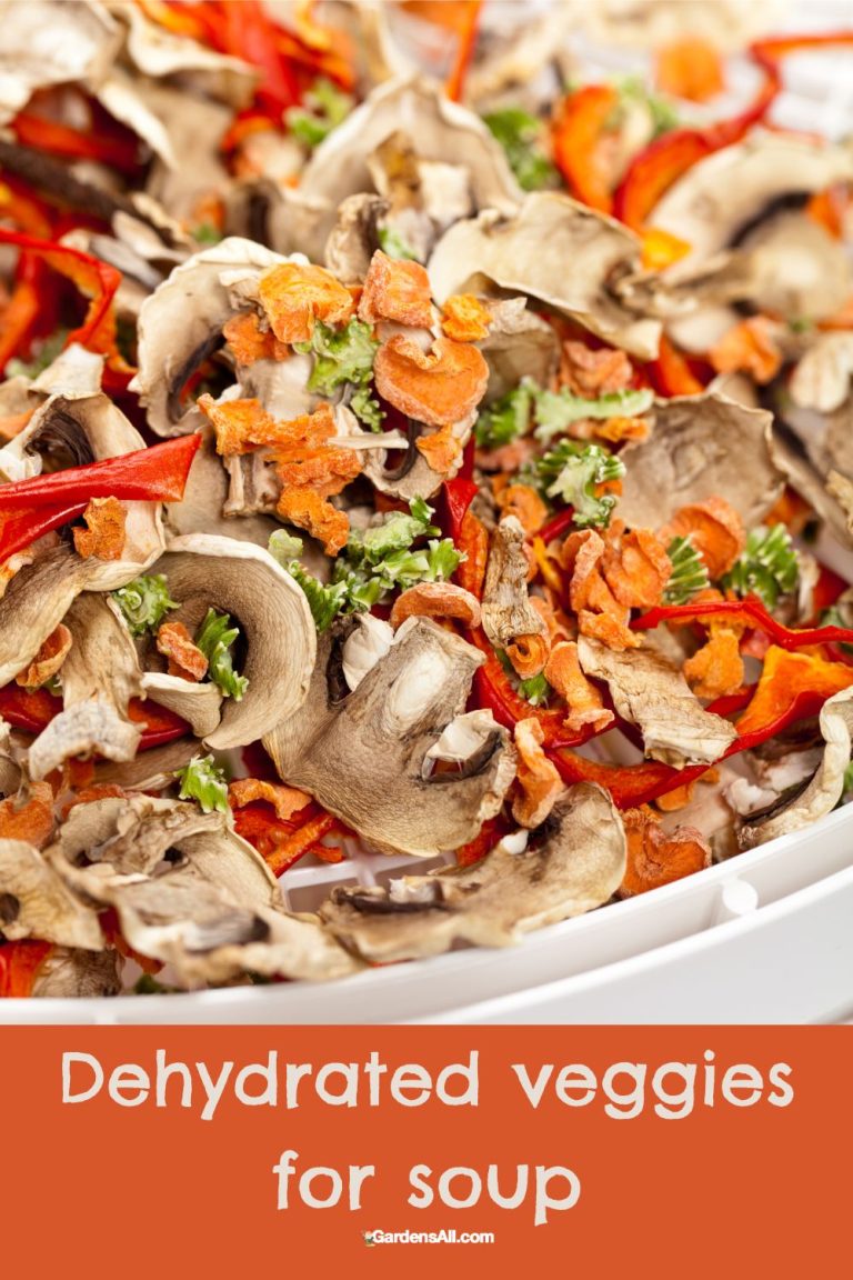 What Are the Best Foods to Dehydrate and Why? GardensAll