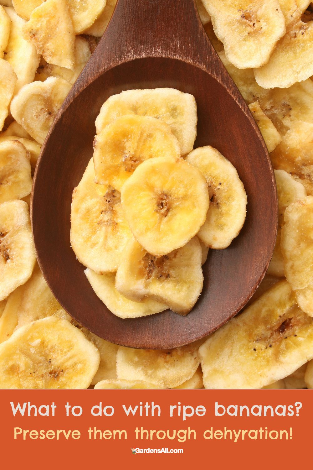 What Are the Best Foods to Dehydrate and Why? GardensAll