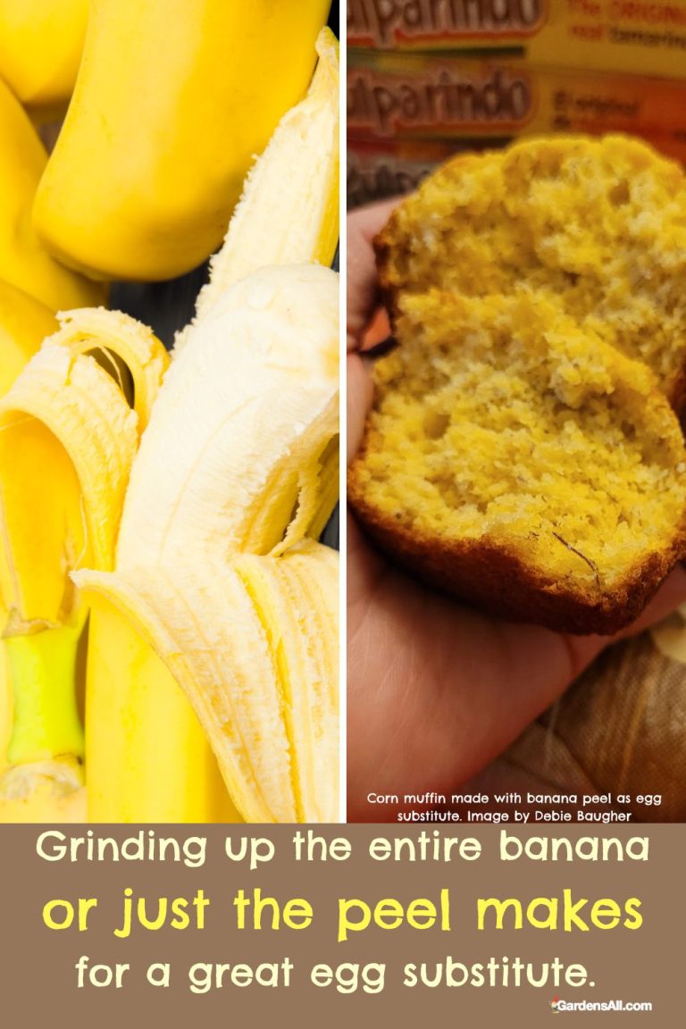 Banana Peels Benefits and Uses for Plants, Animals, & People