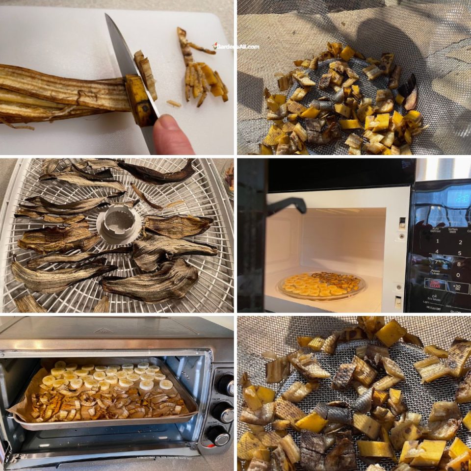 How to Dry Banana Peels (and why you'll want to)! GardensAll