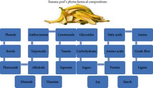 Banana Peels Benefits and Uses for Plants, Animals, & People - Banana Peel Phytochemical Content Study Methods