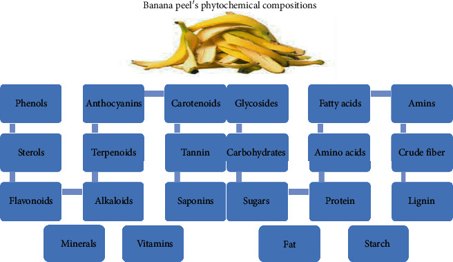 Banana peels phytochemical composition