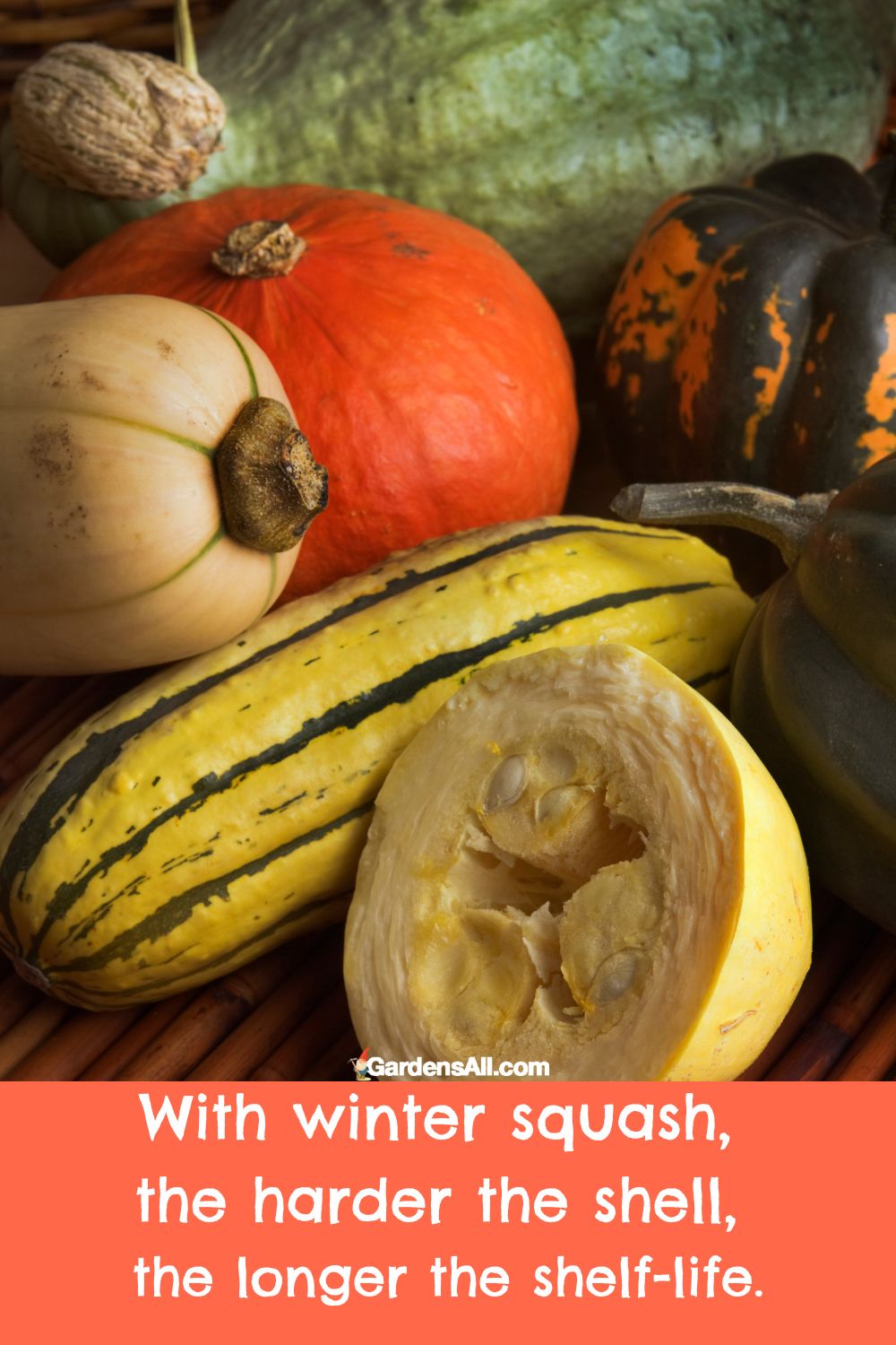 How Long Does a Pumpkin Last in the Fridge? GardensAll