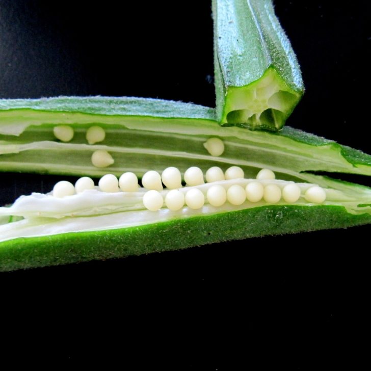 Fresh Okra Pod with Seeds