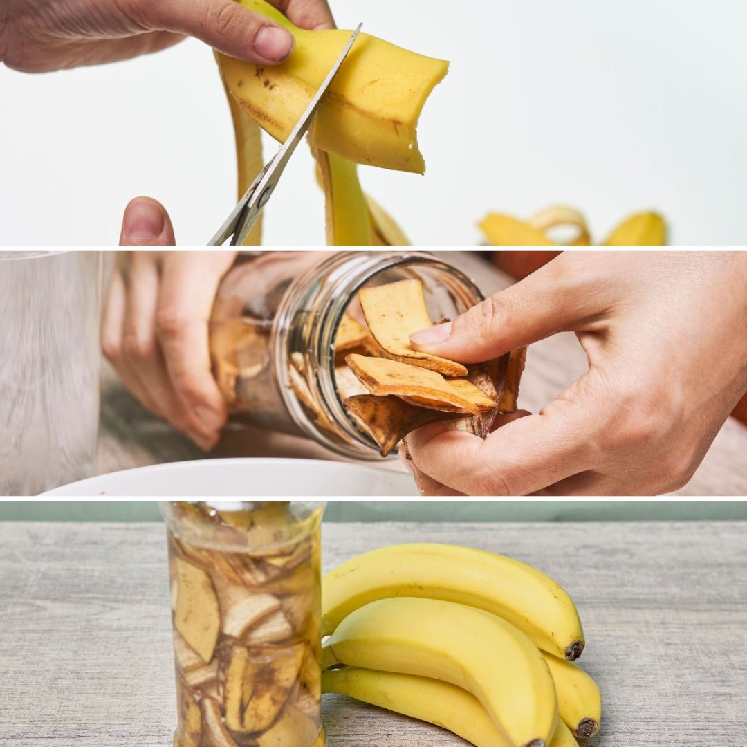 Disadvantages & Benefits of Banana Peel Water for Plants