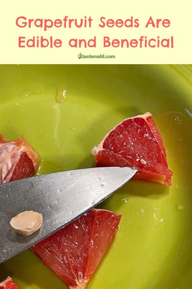 How to Make Grapefruit Seed Extract GardensAll