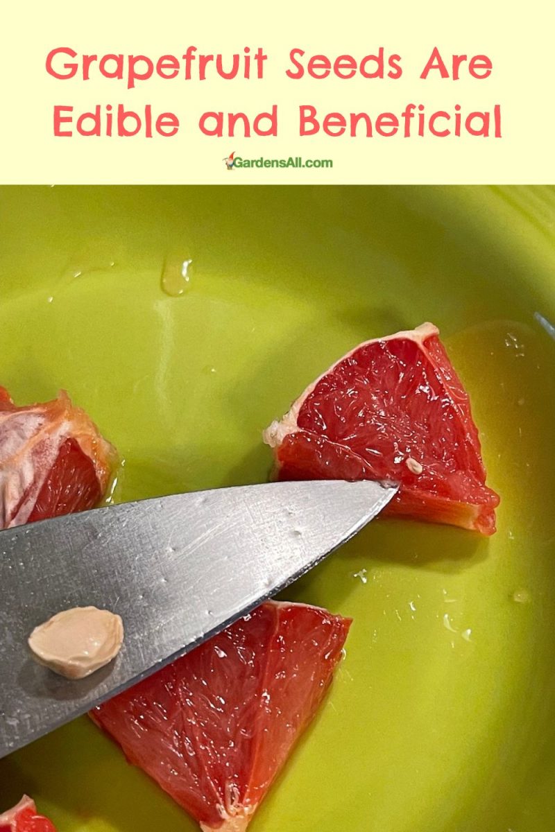 How to Make Grapefruit Seed Extract GardensAll