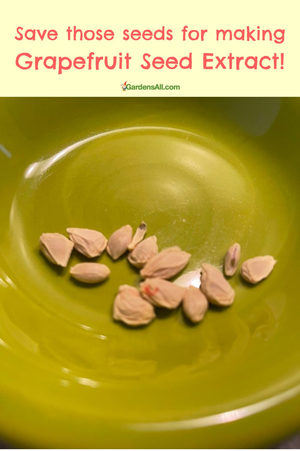 How to Make Grapefruit Seed Extract GardensAll