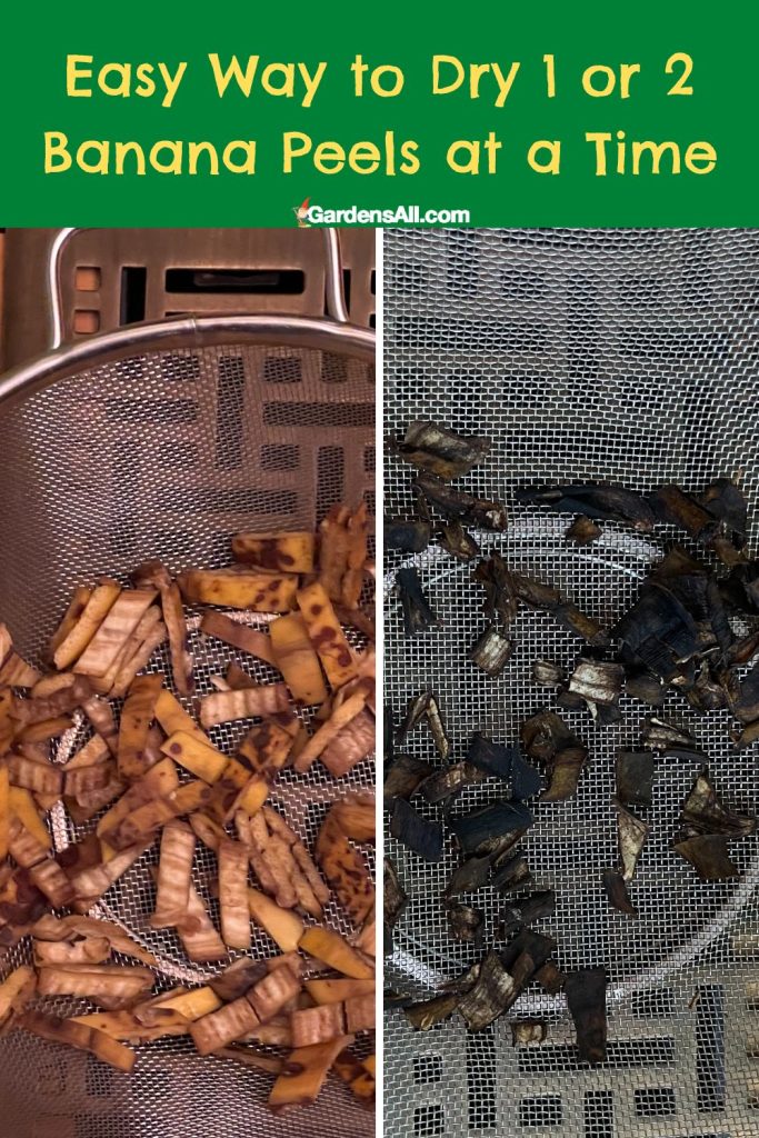 drying banana peels over heat vent