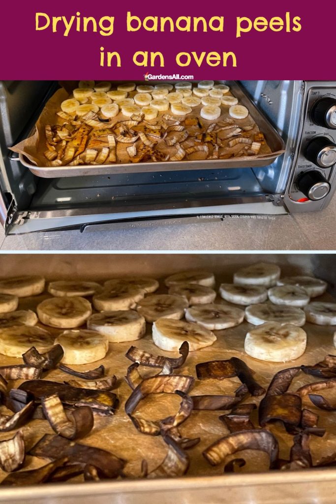 oven-dried banana peels