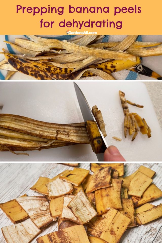 How to Dry Banana Peels (and why you'll want to)! GardensAll