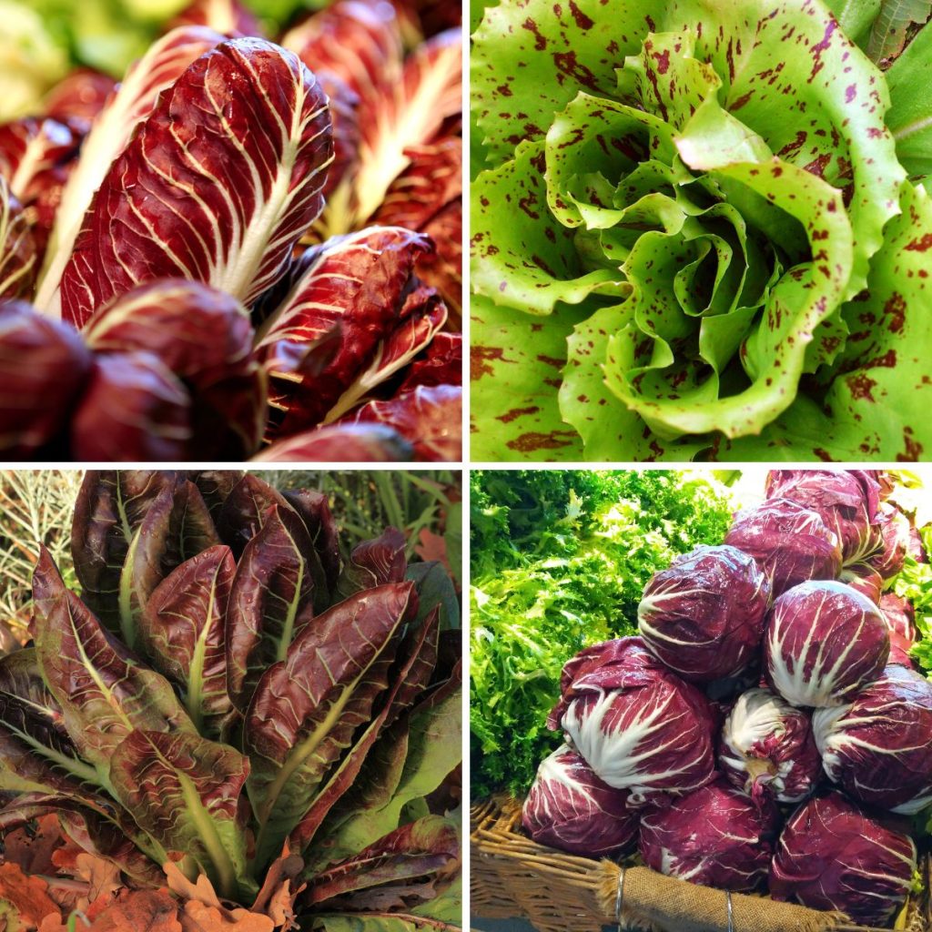 How to Grow Purple Majesty Potatoes - GardensAll