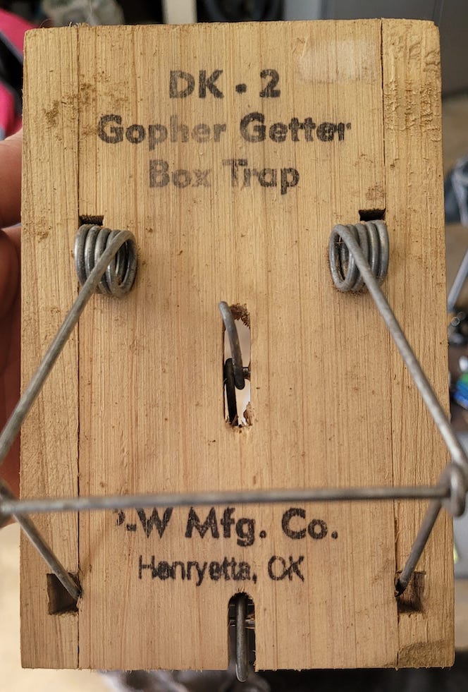 The mole trap that worked for the Leighs is DK 2 Go Getter Gopher box trap pictured here.