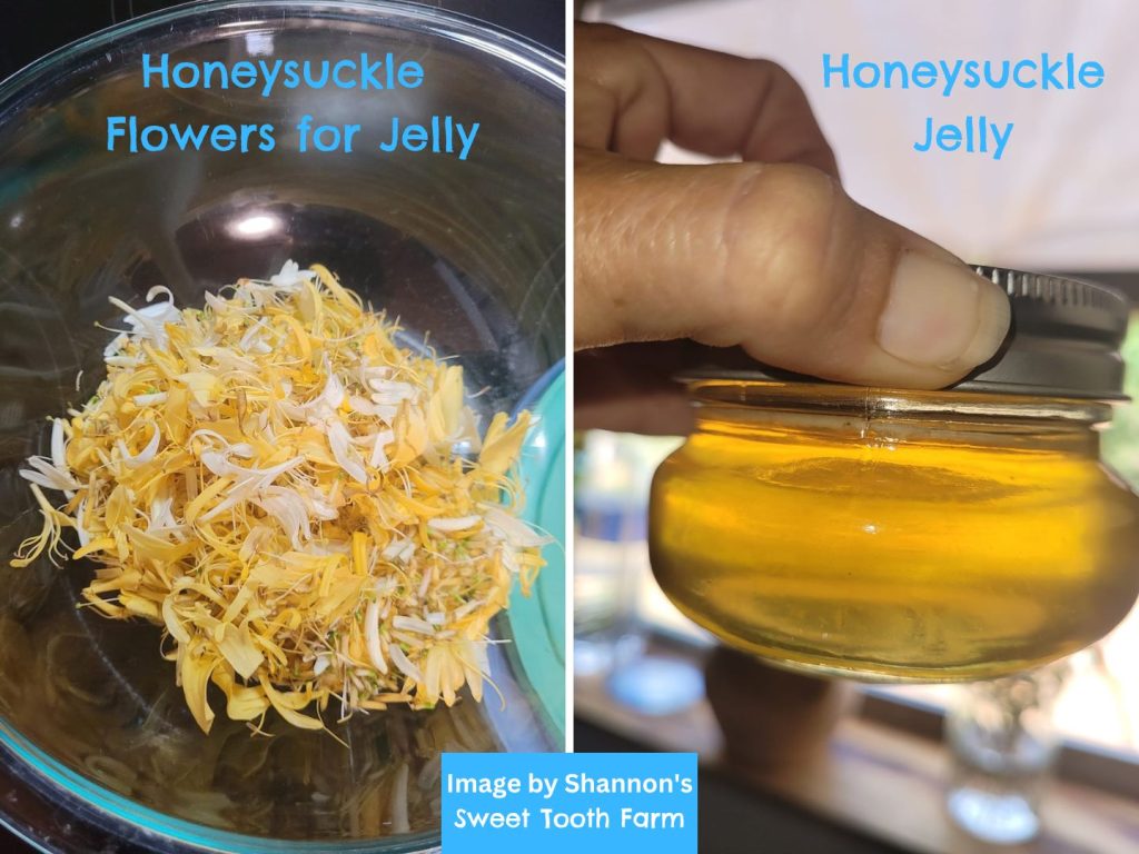 Honeysuckle flowers picked and ready for making honeysuckle jelly