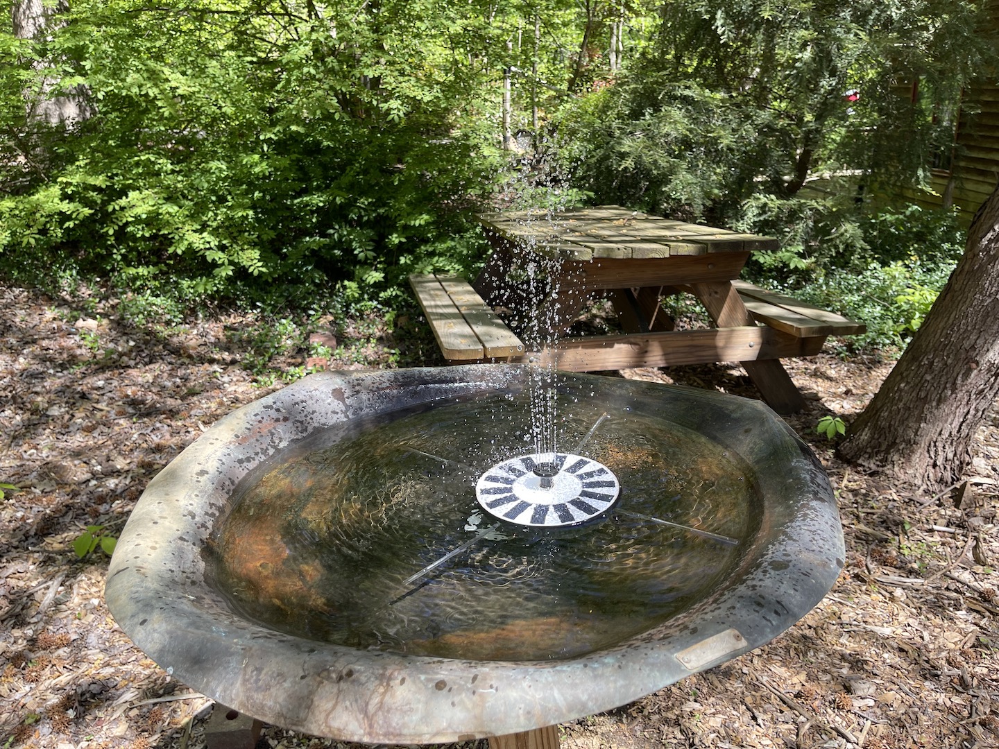 Benefits of Solar Fountain Bird Baths, (and Do They Work)? GardensAll