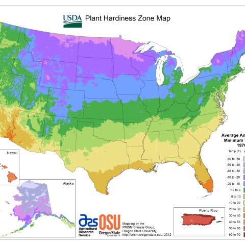 Understanding USDA Hardiness Zones - All States Fullzones Title Legend Logos 300dpi 480x480