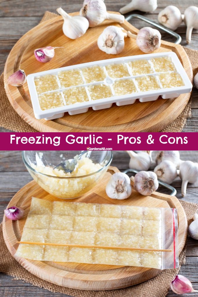 Freezing Garlic - Pros & Cons