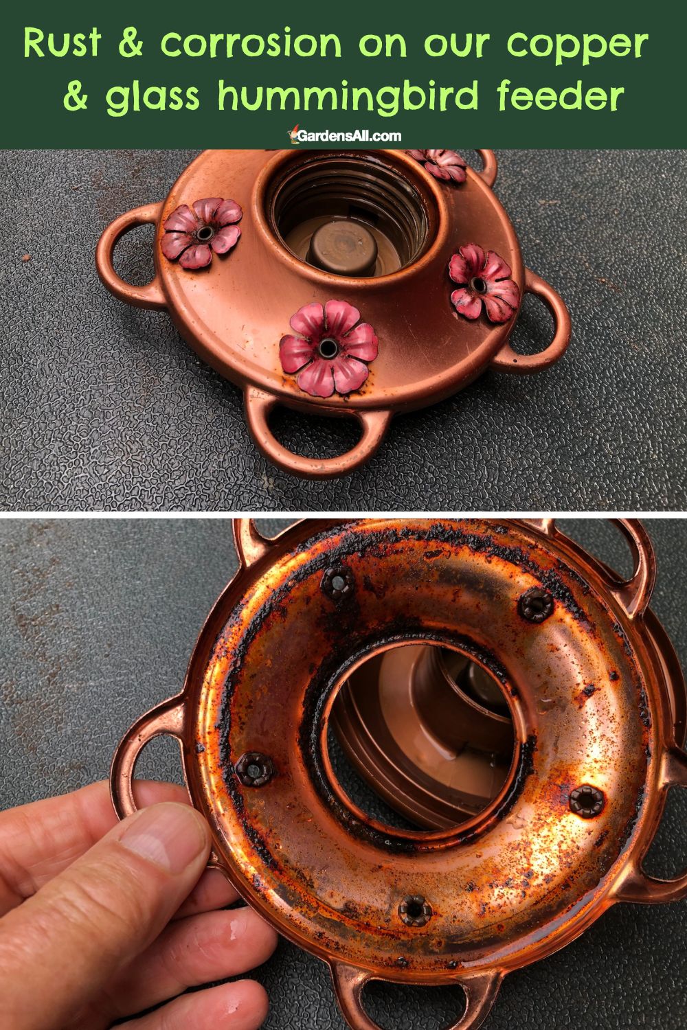 Reasons To Avoid Using Metal Hummingbird Feeders Here's Why GardensAll