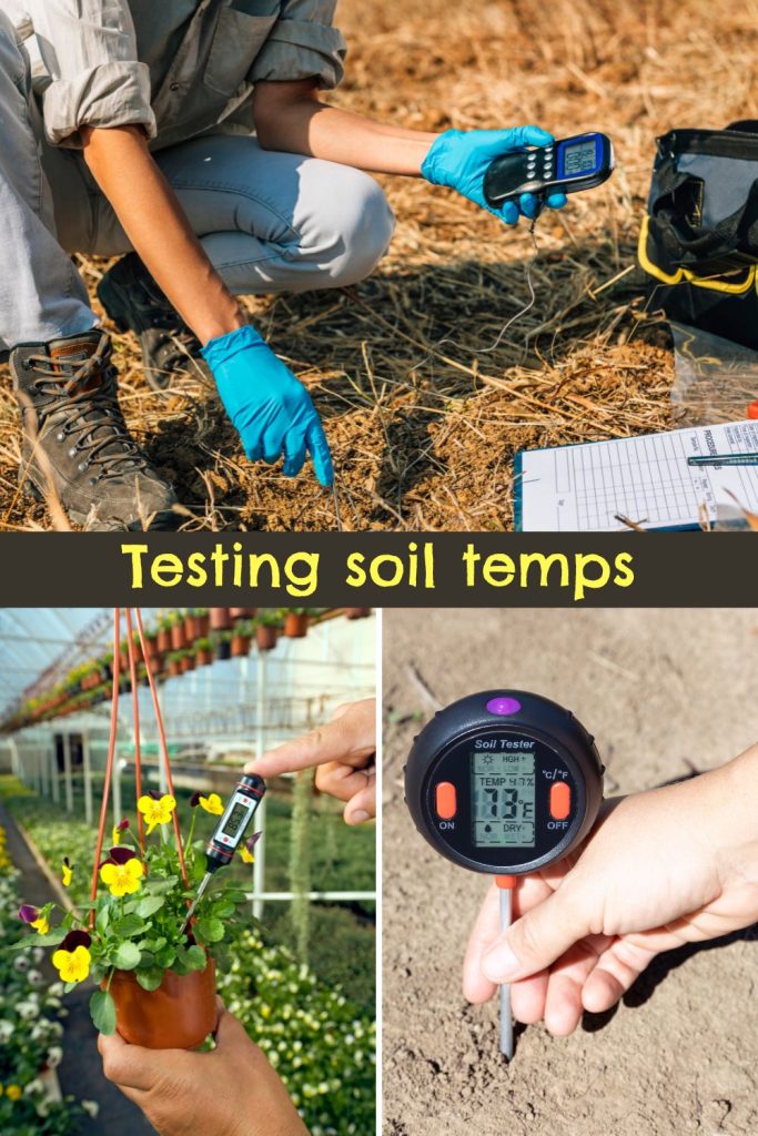 people testing soil temperatures