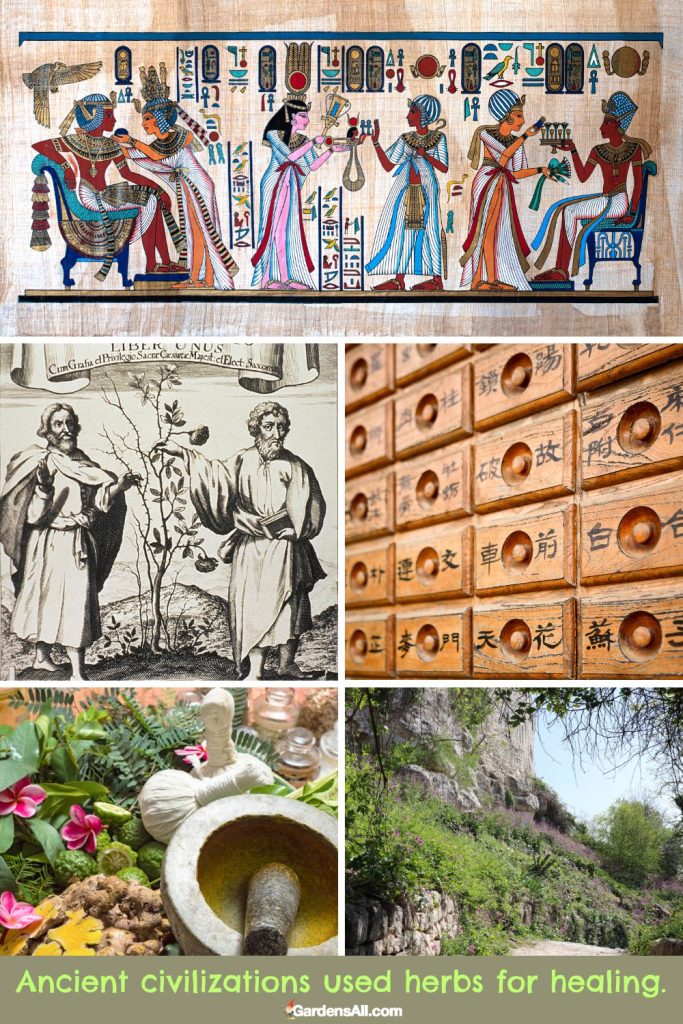 Ancient civilizations used herbs for healing.