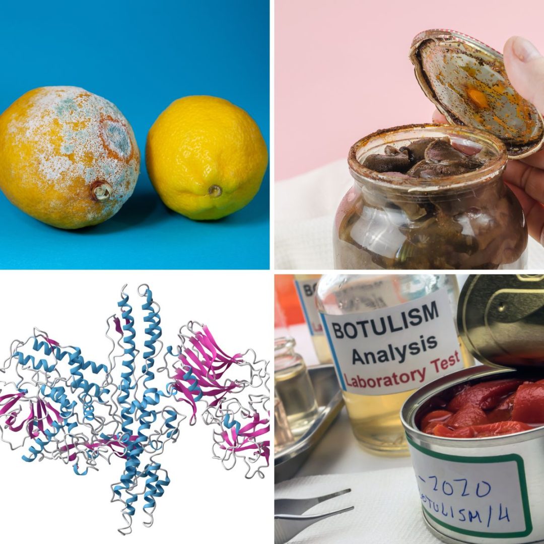 How To Prevent Botulism and How Big a Problem is It? GardensAll