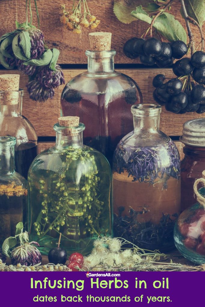 Infusing Herbs in oil 
dates back thousands of years