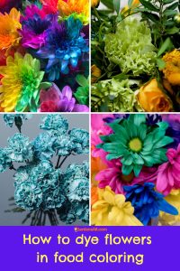 How to Dye Flowers With Food Coloring - GardensAll