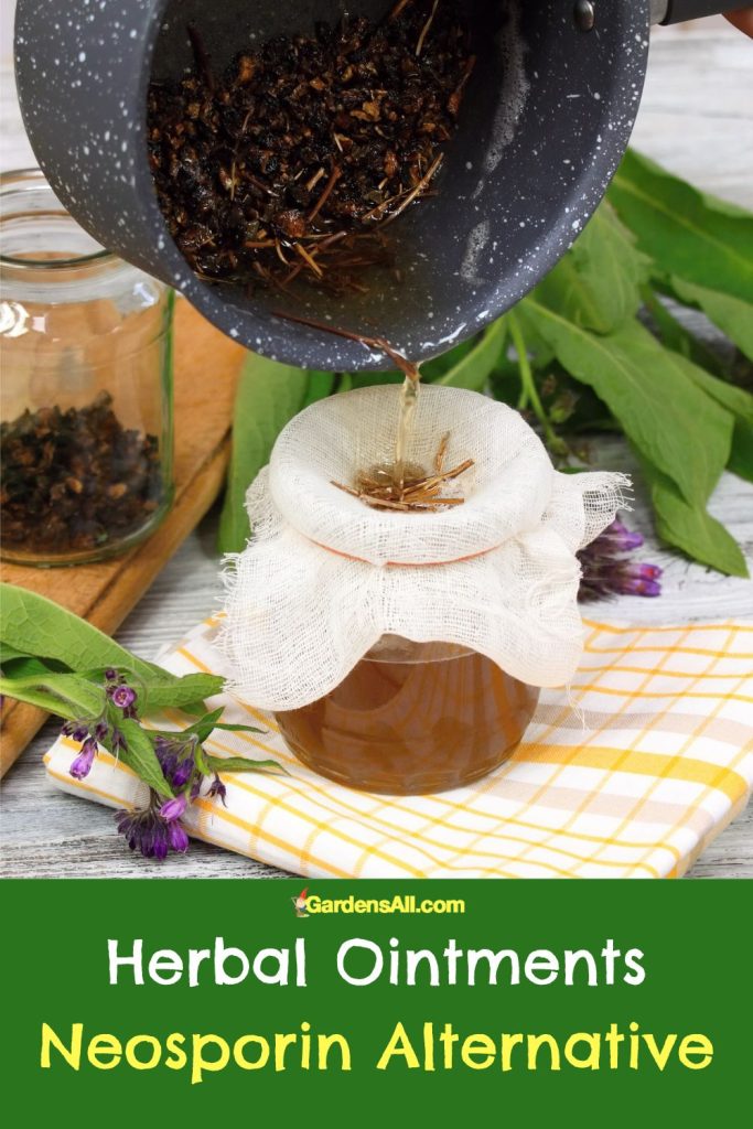 Homemade herbal Ointments, Natural Neosporin Alternatives
