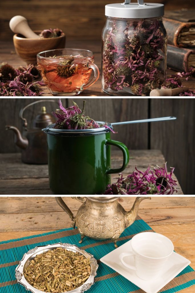 Making Echinacea Tea from Flowers, Leaves & Roots